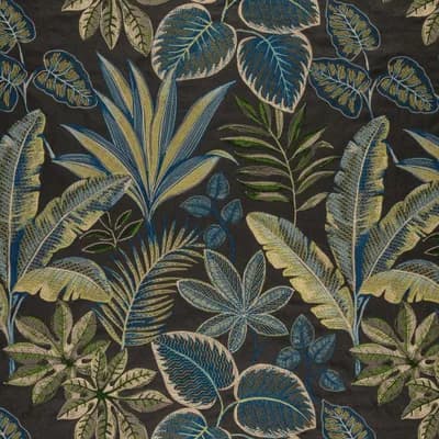 LINNAEUS NIGHTSHADE